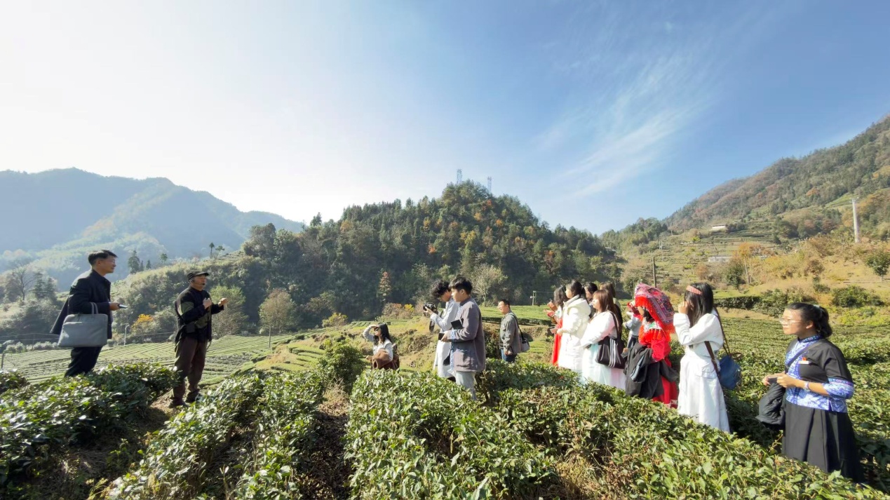 william威廉中文官网