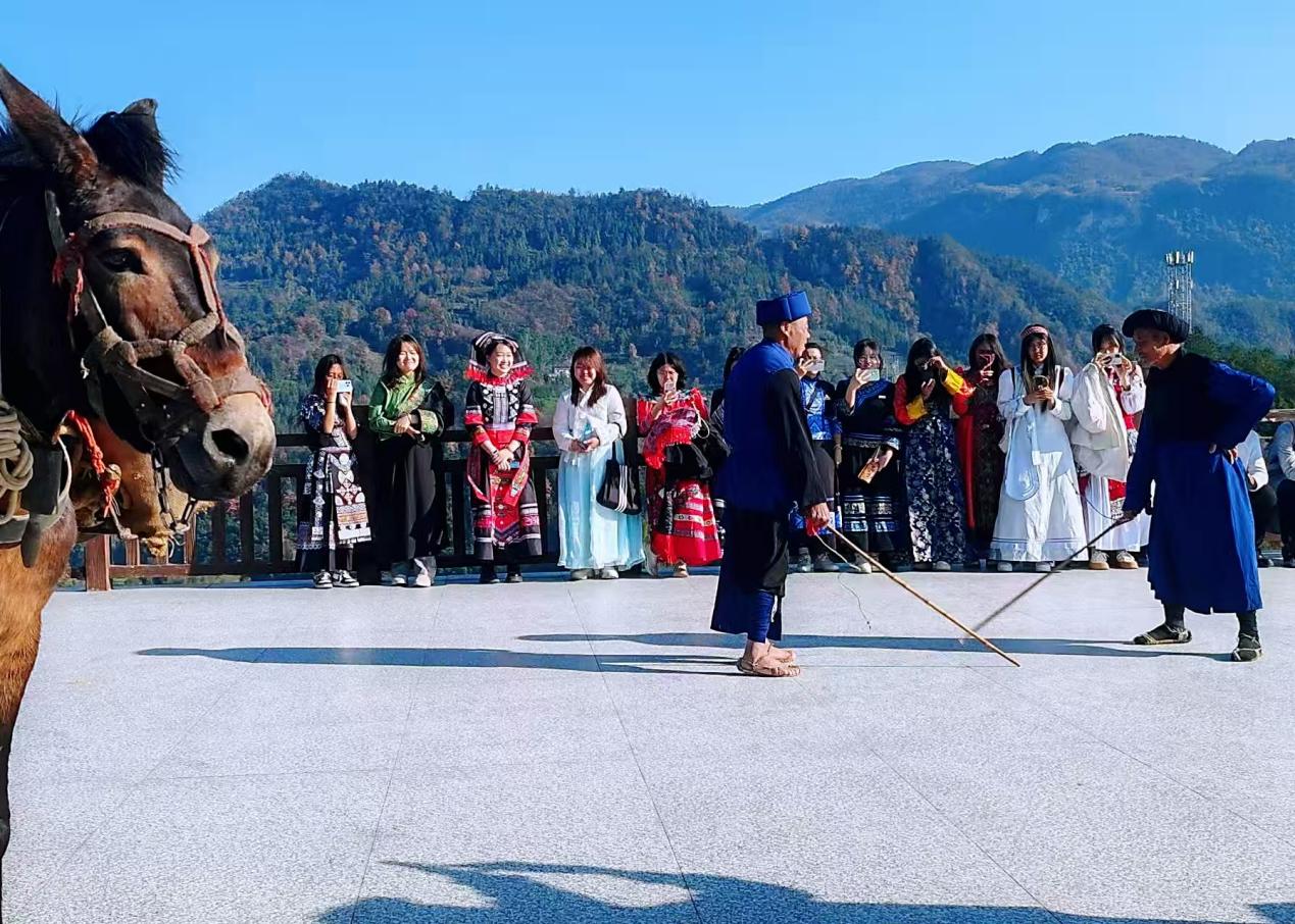 william威廉中文官网