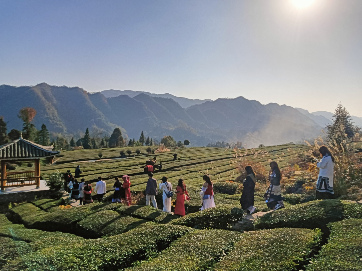 william威廉中文官网